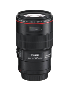 Canon EF 100mm f2.8 L Macro IS USM Lens