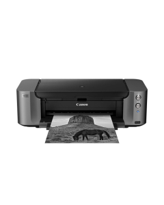 Canon PIXMA Pro 10s Professional Inkjet Photo Printer