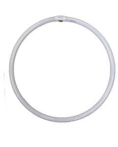 Dorr Replacement Bulb For Dorr Foto SL-45 Studio Ring Beauty Light
