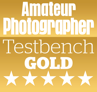 AP Gold Award